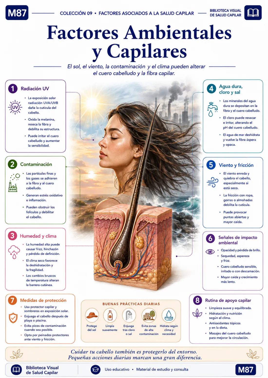 Mapa mental ilustrado de salud capilar