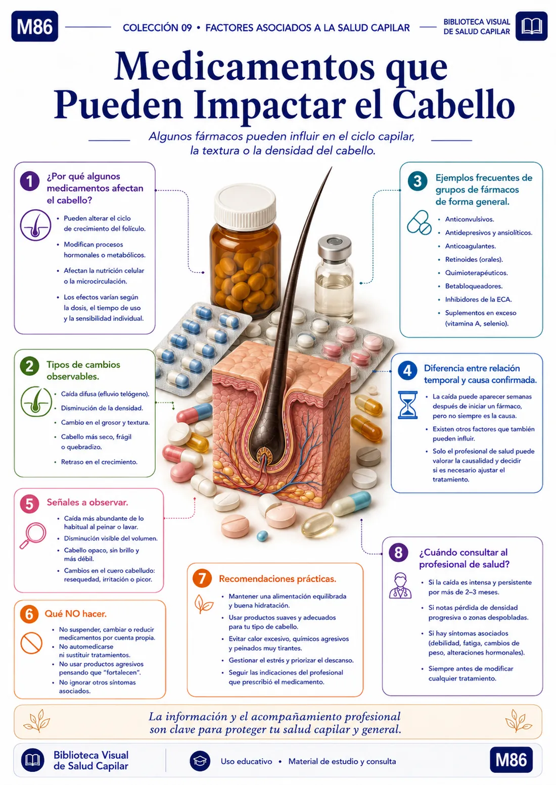 Mapa mental ilustrado de salud capilar