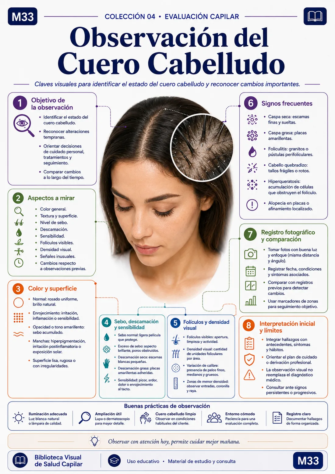 Mapa mental ilustrado de salud capilar
