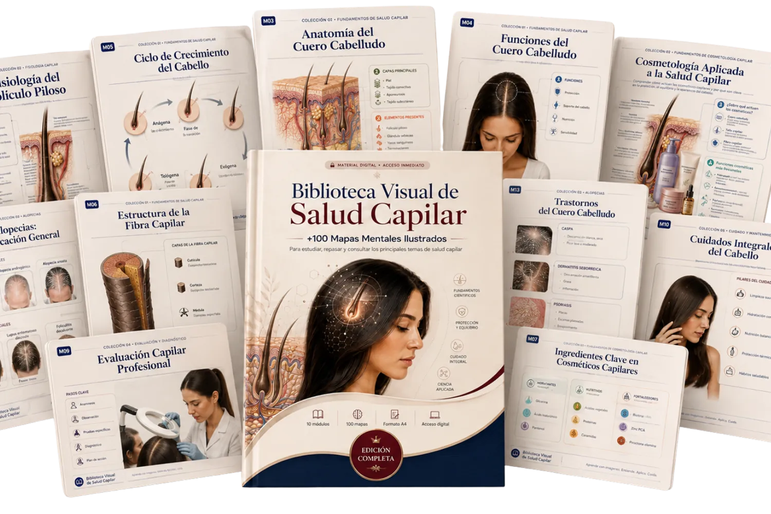 Biblioteca Visual de Salud Capilar — mapas mentales ilustrados