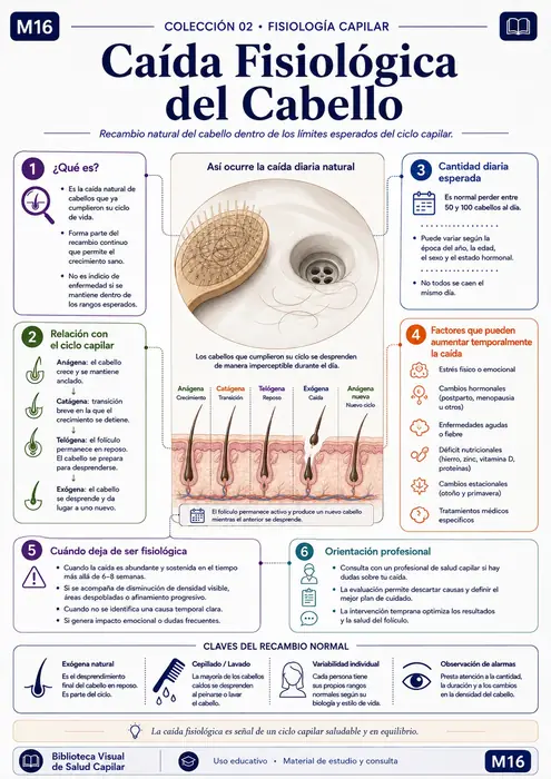 Mapa mental ilustrado de salud capilar